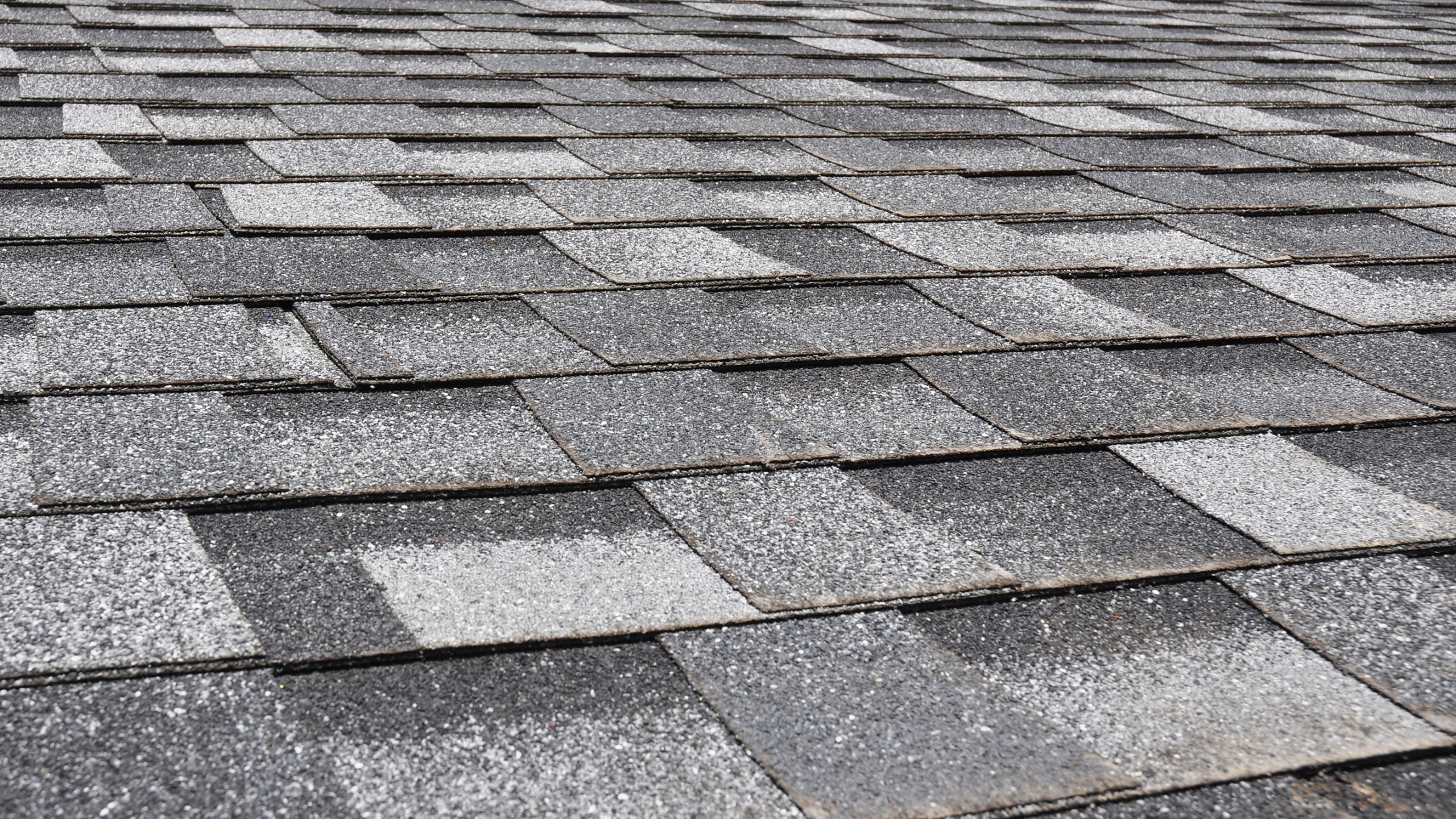 Asphalt Shingle roofing